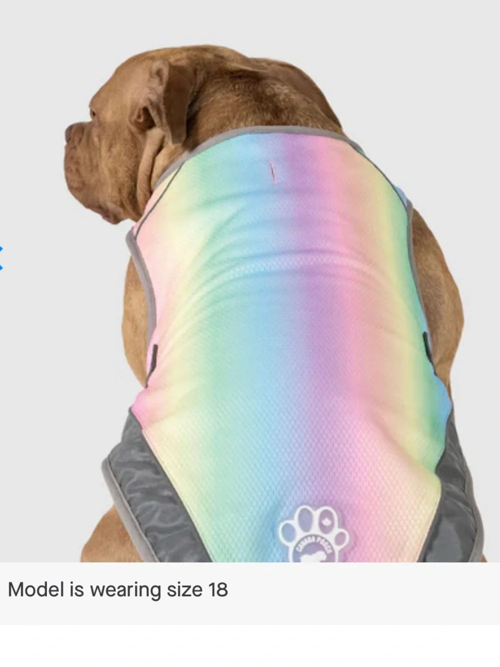 Canada Pooch Chill Seeker Pastel Rainbow Cooling Dog Vest size 16